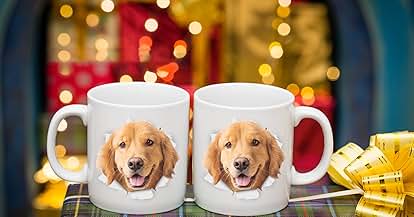 Products from Winston & Bear in use
