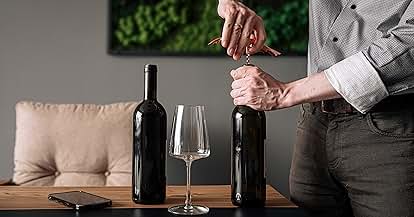 Products from The Wine Chic in use