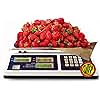 Penn Scale CM-101 NTEP Certified Scale for Digital Price Computing - 30lb Commercial Scale with 0.01lb Readability - Rechargeable Battery, Dual LCD Display & Removable Platter (COC #04-101A1)