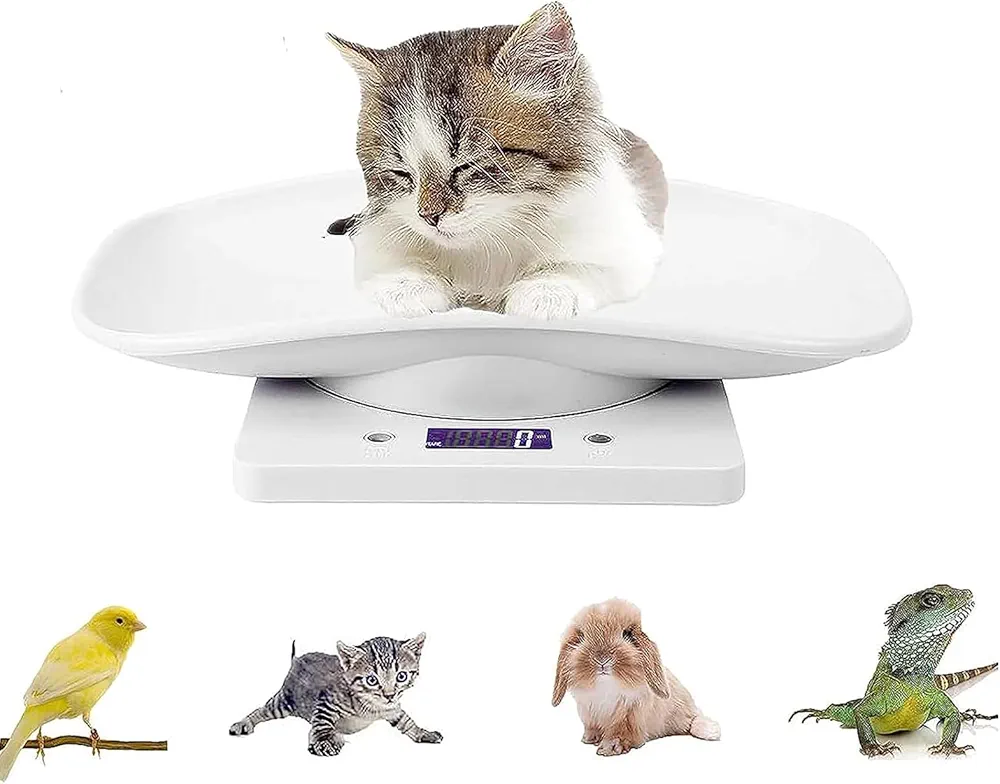 Digital Pet Scale,Small Animal Scale with LCD Display,Multifunction Kitchen Food Scale,Grams Weight Max 22 lbs for Hamster Tortoise Lizard Little Bird, White, (B434F704M1466JLEETB)