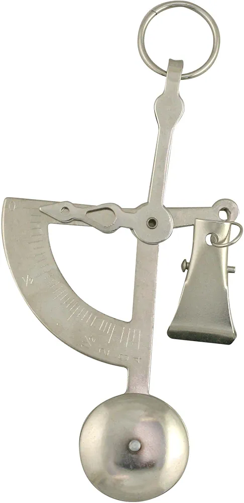 American Weigh Scales Manual Letter Postage or Kitchen Scale 100g x 1g, Mechanical Scale (Silver) Innovation Weighs